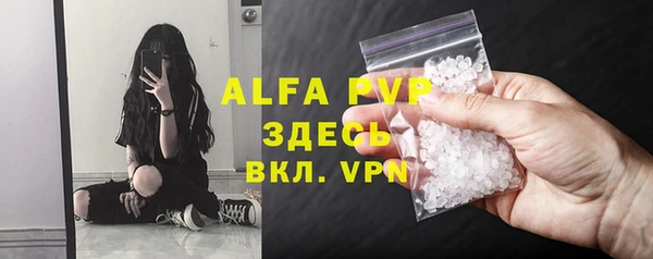 стафф Абаза