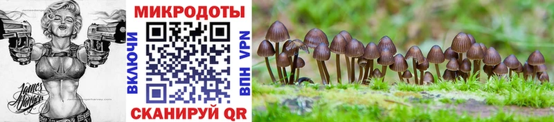 blacksprut ссылки  Пудож  Галлюциногенные грибы Psilocybine cubensis 